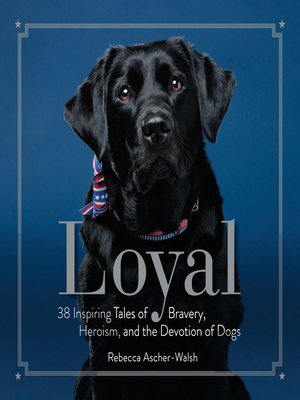 cover image of Loyal